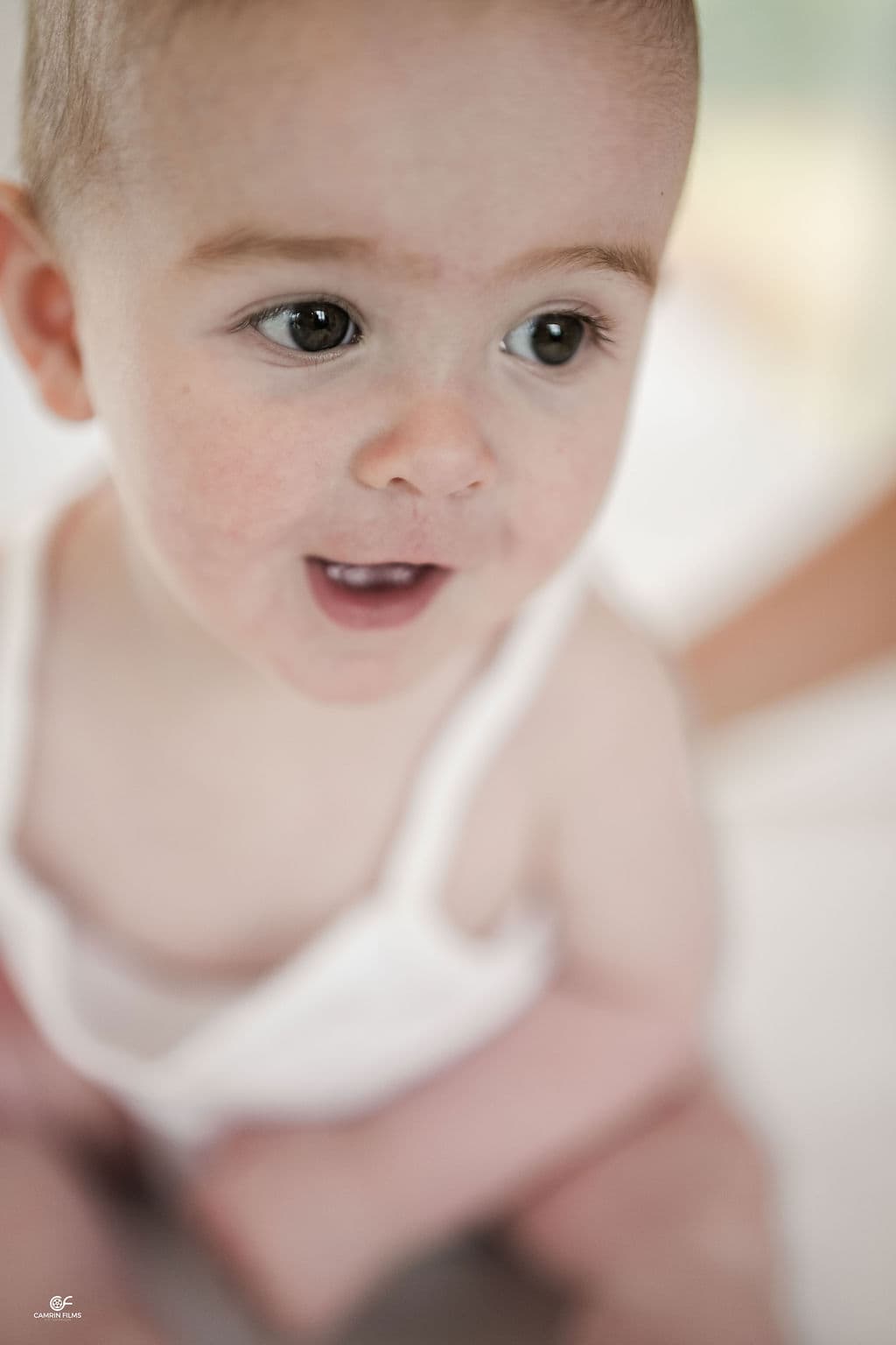 Cillian Anthony & Family wedding, photo 9